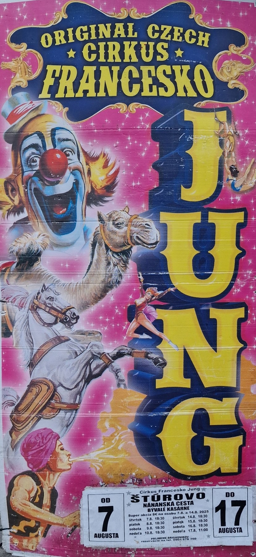 Štúrovo cirkus leto