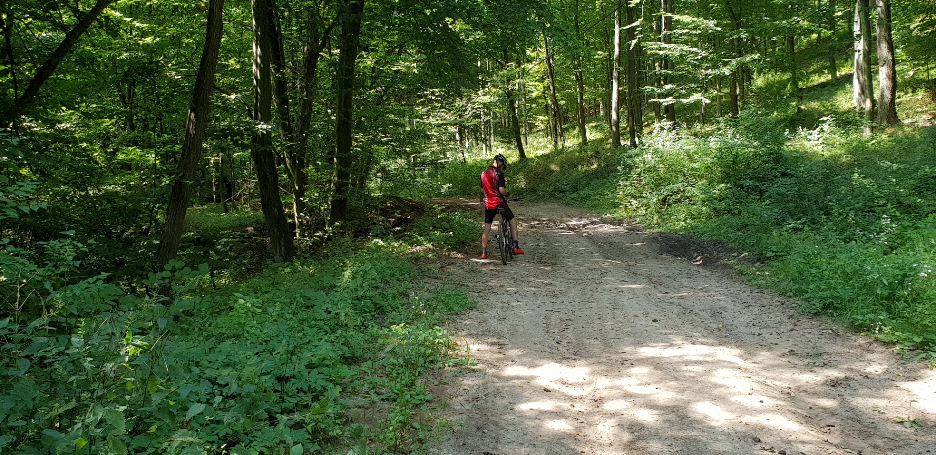 Štúrovo cyklotrasa Kováčovské kopce